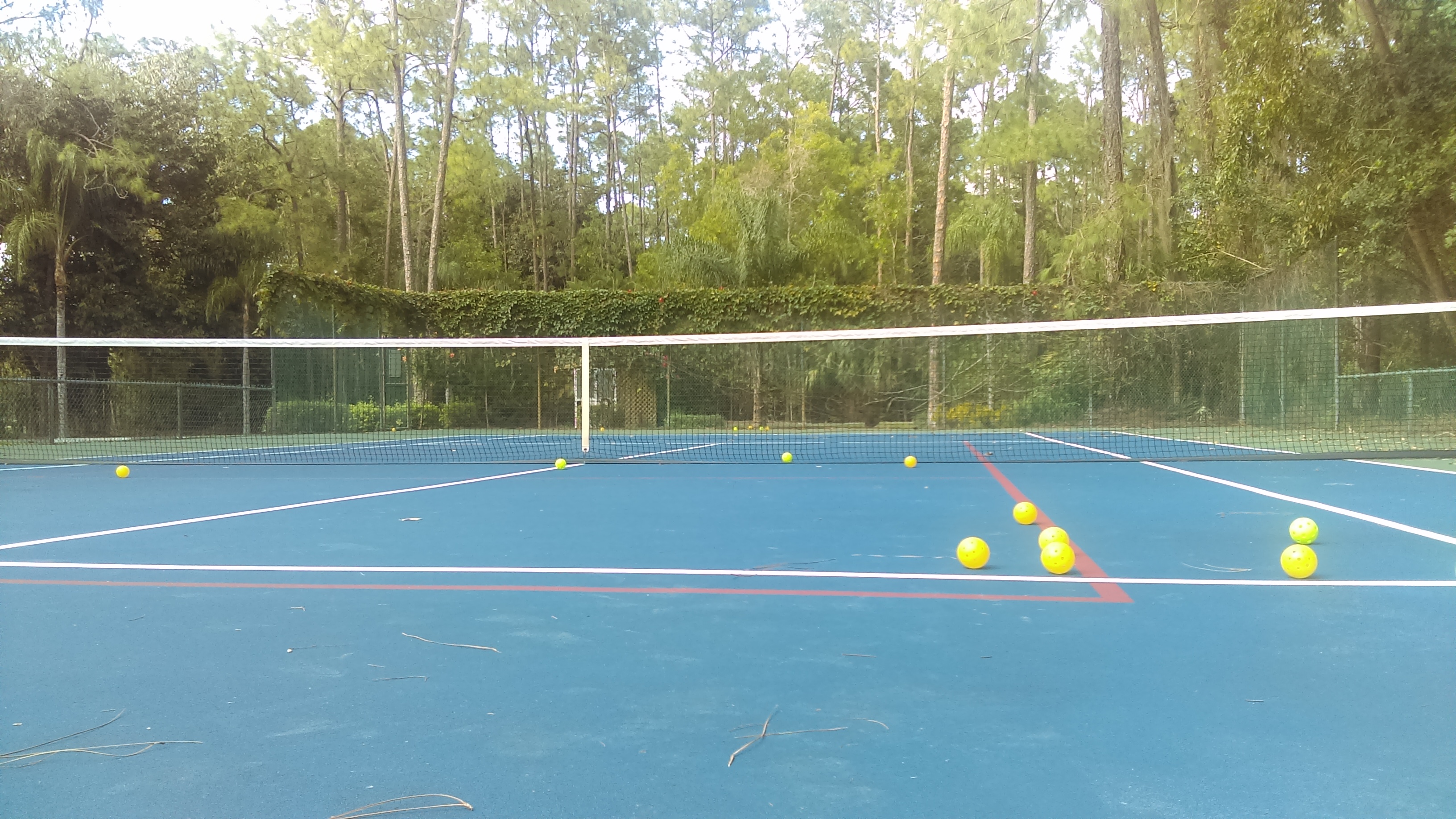 Reference photo of pickleballs resting on a court