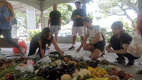 Participants working together during an outdoor CSR team challenge
